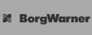 Borgwarner Logo